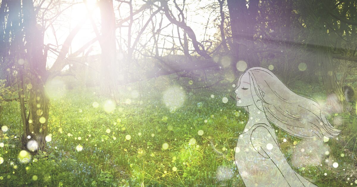 まやの森のトップページのアイキャッチ画像です。深い癒やしをイメージしています。